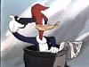Woodrow Woodpecker's Avatar
