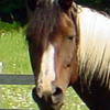peaton's Avatar