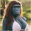 mavrick's Avatar