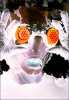BurmaShave's Avatar