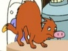 powder weasel's Avatar