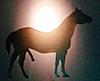 Horse Cock's Avatar