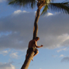 Lelandjt's Avatar