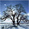 NeigeÉternelle's Avatar