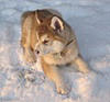Weird_in_the_Wasatch's Avatar