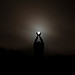 tripsandfalls's Avatar
