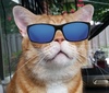 Thaleia's Avatar