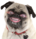 sierraskier's Avatar