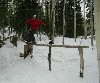 LumberJackJibbr's Avatar