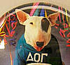 Misty_Fly's Avatar