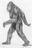 Sasquatch's Avatar
