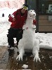 stevev's Avatar