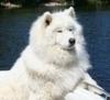 JayPowHound's Avatar