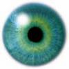 Fuorilegge's Avatar