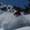 Corduroy Commander's Avatar