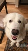wckdmediocr's Avatar