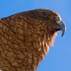 Yemble's Avatar