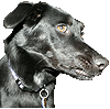 mmcpheet's Avatar
