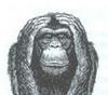 MakeFast's Avatar