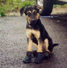 chunder's Avatar