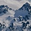 alpine.col's Avatar