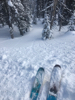 point_it_downhill's Avatar