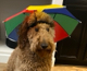 BeHuWe's Avatar
