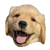 GrandeRojo's Avatar