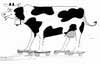 skatecow45's Avatar