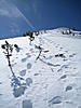 Snowbird Commuter's Avatar