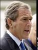 Gdubya's Avatar