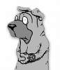 amor del burro's Avatar