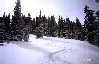 powderripper's Avatar