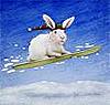 snobababunny's Avatar
