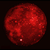 CherryMoon's Avatar