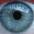 Flyan's Avatar