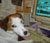OtisTheDog's Avatar
