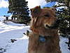 Kenai's Avatar