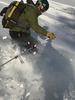 RogueRider's Avatar