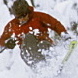 jasonsalvo's Avatar