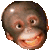 Willygbro's Avatar