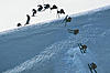 johnnyskied's Avatar
