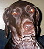 fatback's Avatar