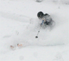 Dawn Patrol's Avatar