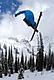 PNW Skier