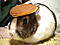 seldon's Avatar