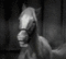 I Am Mr. Ed's Avatar