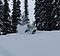 snowforever's Avatar