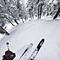 the_flying_v's Avatar