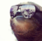 nwslider's Avatar